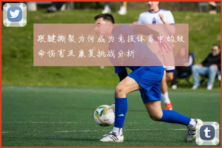 跟腱撕裂为何成为竞技体育中的致命伤害及康复挑战分析